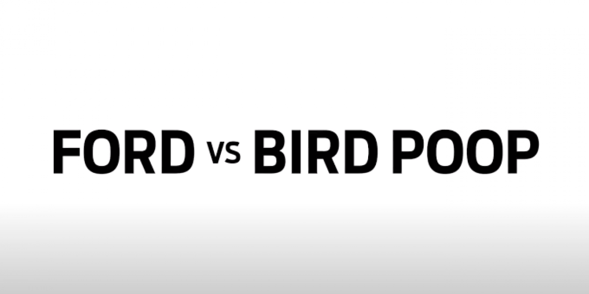 鳥屎成為研究新目標?Ford實驗室積極研發抗鳥屎漆料