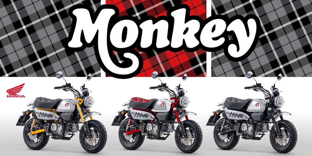 花呢格紋坐墊上身!2023 HONDA MONKEY 125 新色歐洲亮相