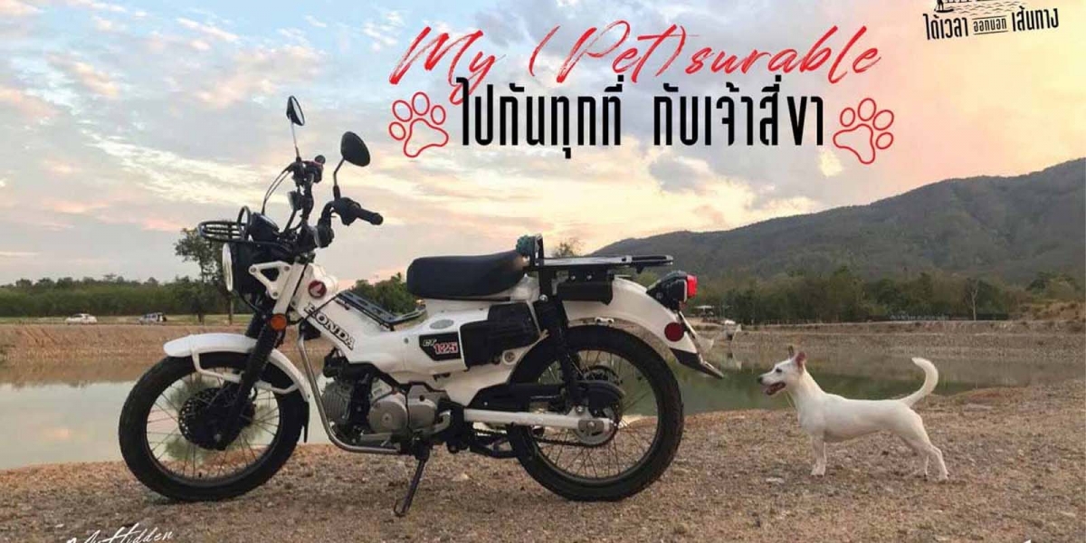 白色獵狼現身!泰國Cub House貼出HONDA CT125 全白塗裝新色