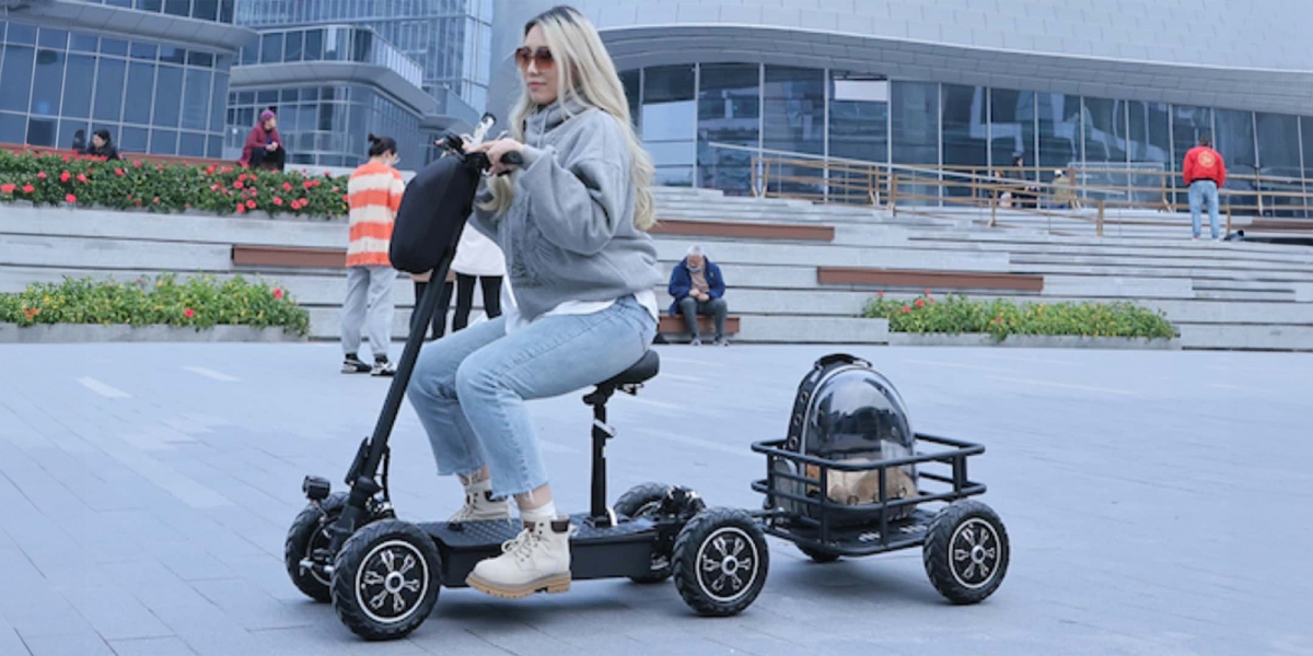 Zebra Mobility Zebra09:1000W馬達、極速40公里、45公里續航,可選配226公斤負重拖車的越野電動四輪滑板車!