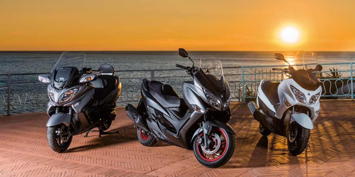 消逝的青春,SUZUKI BURGMAN 650停產