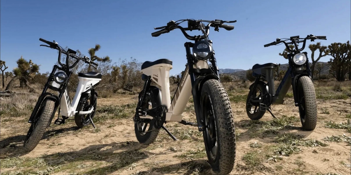 Bandit X-Trail Pro 雙馬達電動腳踏車登場,時速60公里、續航190公里!