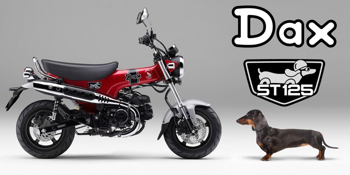 臘腸狗44萬日幣發售!HONDA DAX 125 7月日本上市
