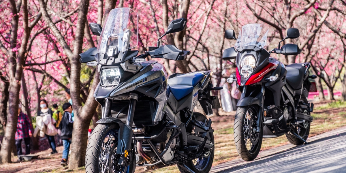 SUZUKI V-Strom 1050/650雙車長途試駕,跟著2021年式新色賞櫻去
