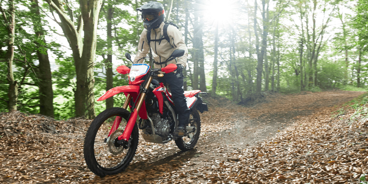 Honda CRF300L CRF300 RALLY預接開跑 早鳥搶訂預接價 24.8/27.8萬