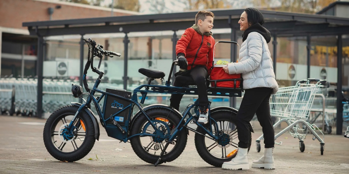 Dolas eBike Defender 250:250W三輪馬達、2554Wh電池、180公里續航、250公斤載重的三輪電動自行車!