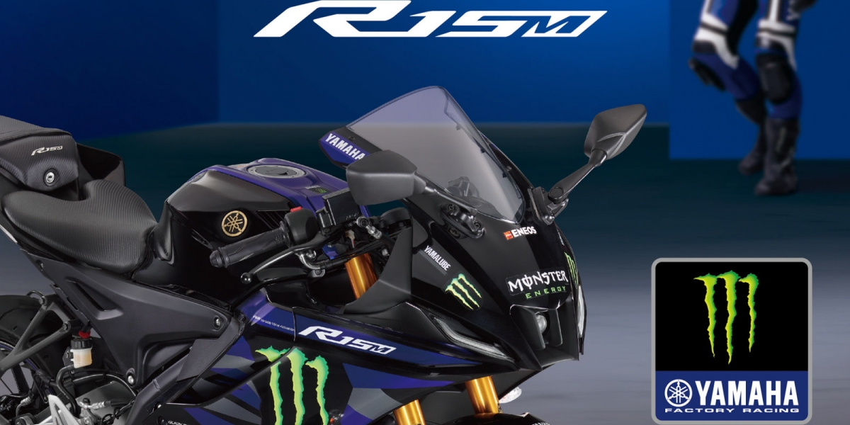 2024 塗裝「 YZF-R15 Monster Energy Yamaha MotoGP Edition 」
磅礡登場