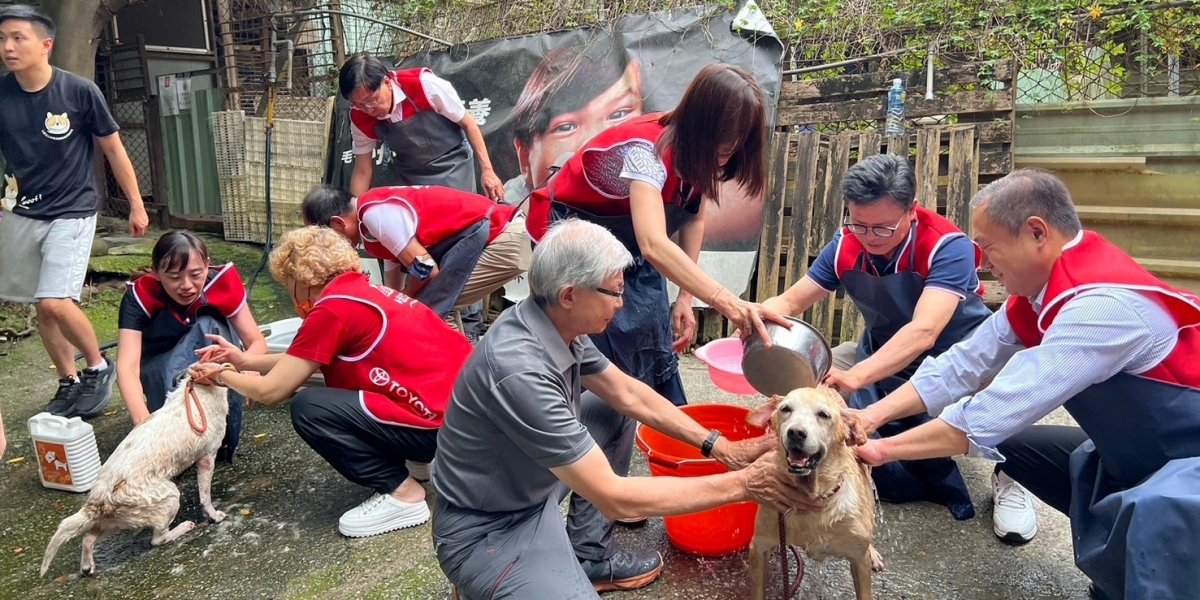 病老犬貓過好年!國都汽車百萬善款挹注飼料醫療費用