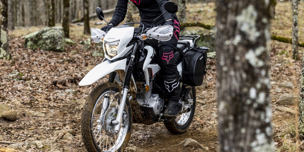 實用入門越野小車!2023 HONDA XR150L
