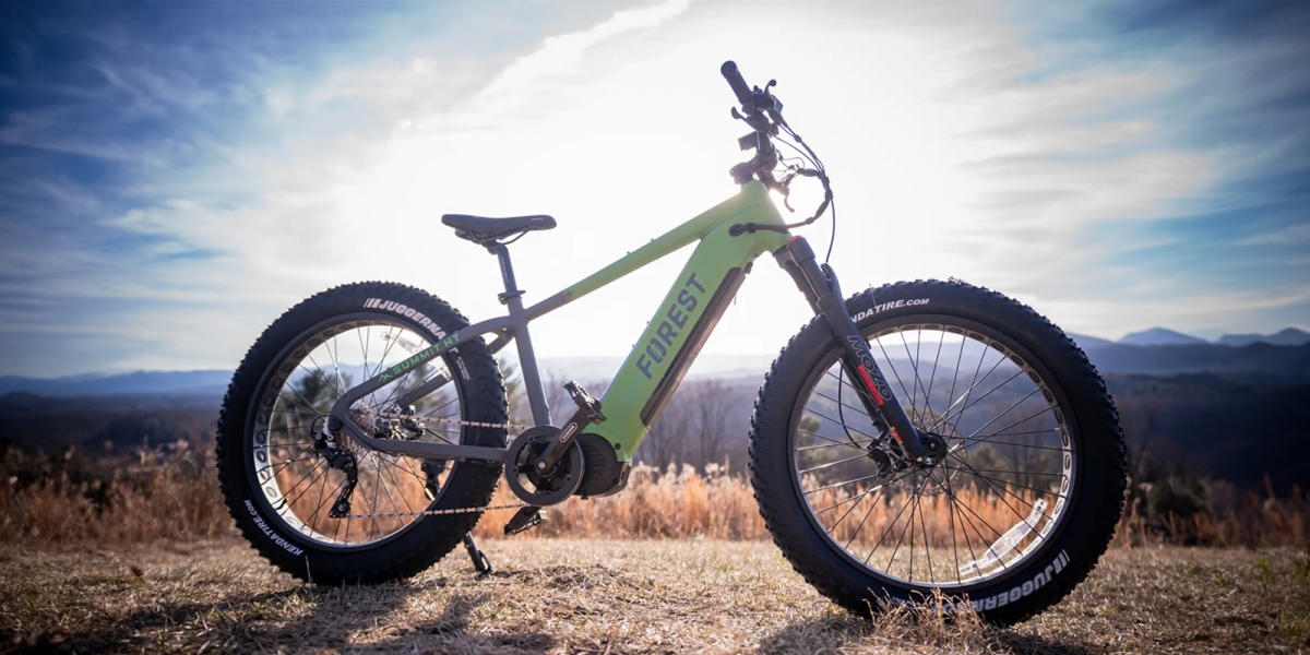 Forest Summit Series:750W Bafang馬達、160Nm扭力、45公里極速、1000Wh電池、72公里續航的電動登山車!