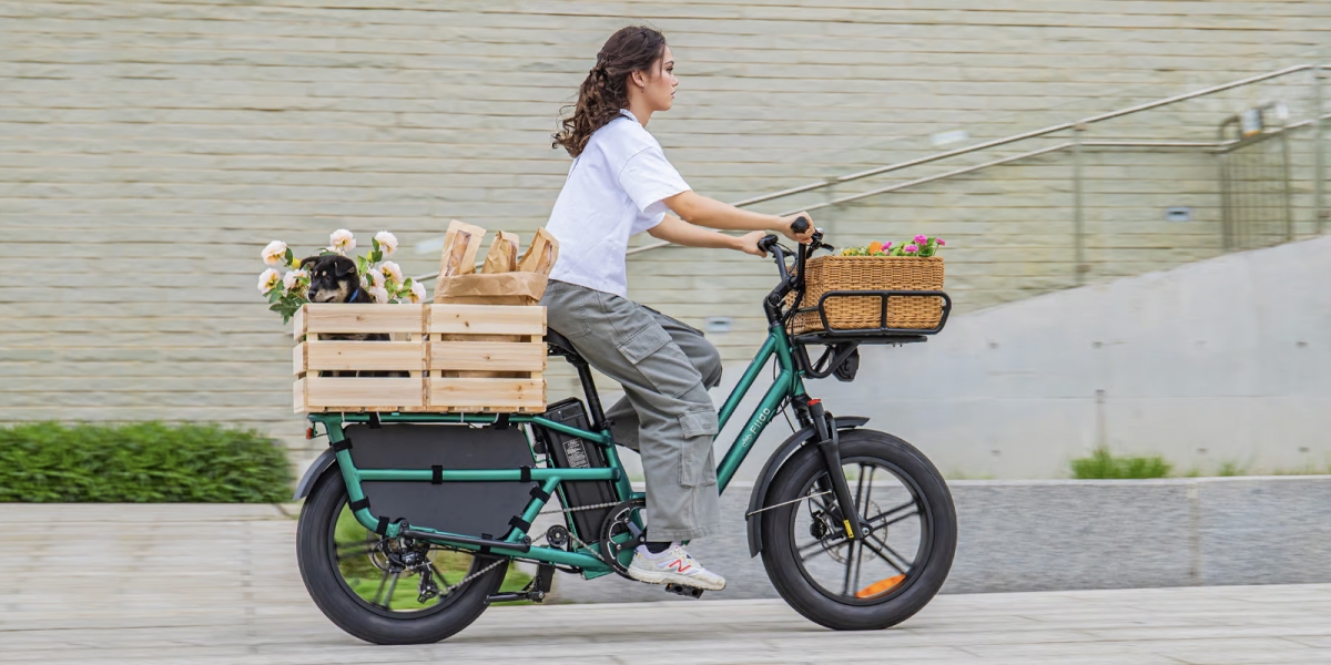 一次載好全家大小,還能載狗狗!Fiido T2 Longtail Cargo 電動貨運自行車