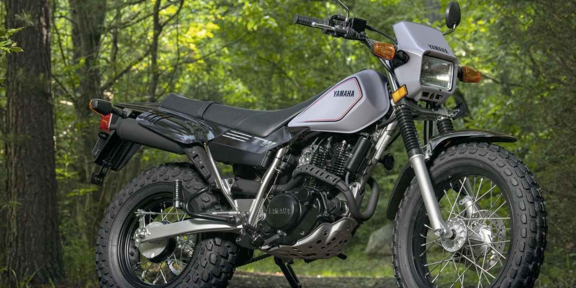 38 年沒換臉，卻從未退流行：Yamaha TW200 傳奇的美麗人生