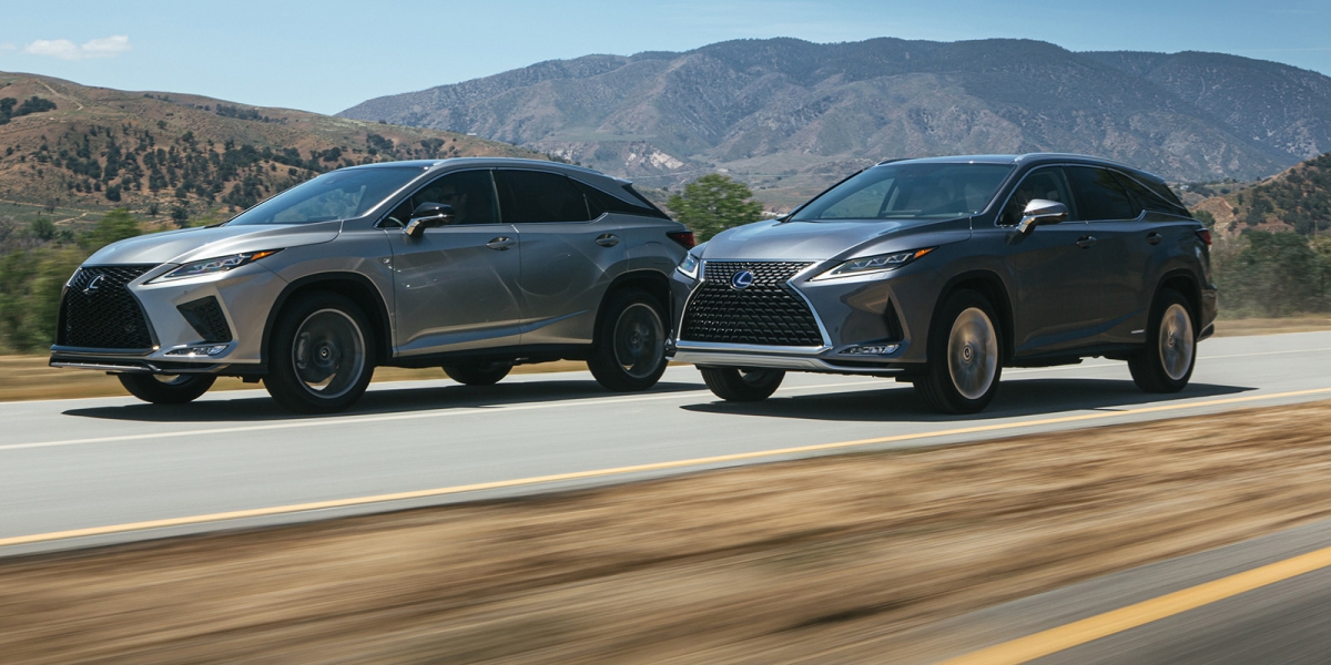 娛樂、安全雙向升級!2020 Lexus RX登場