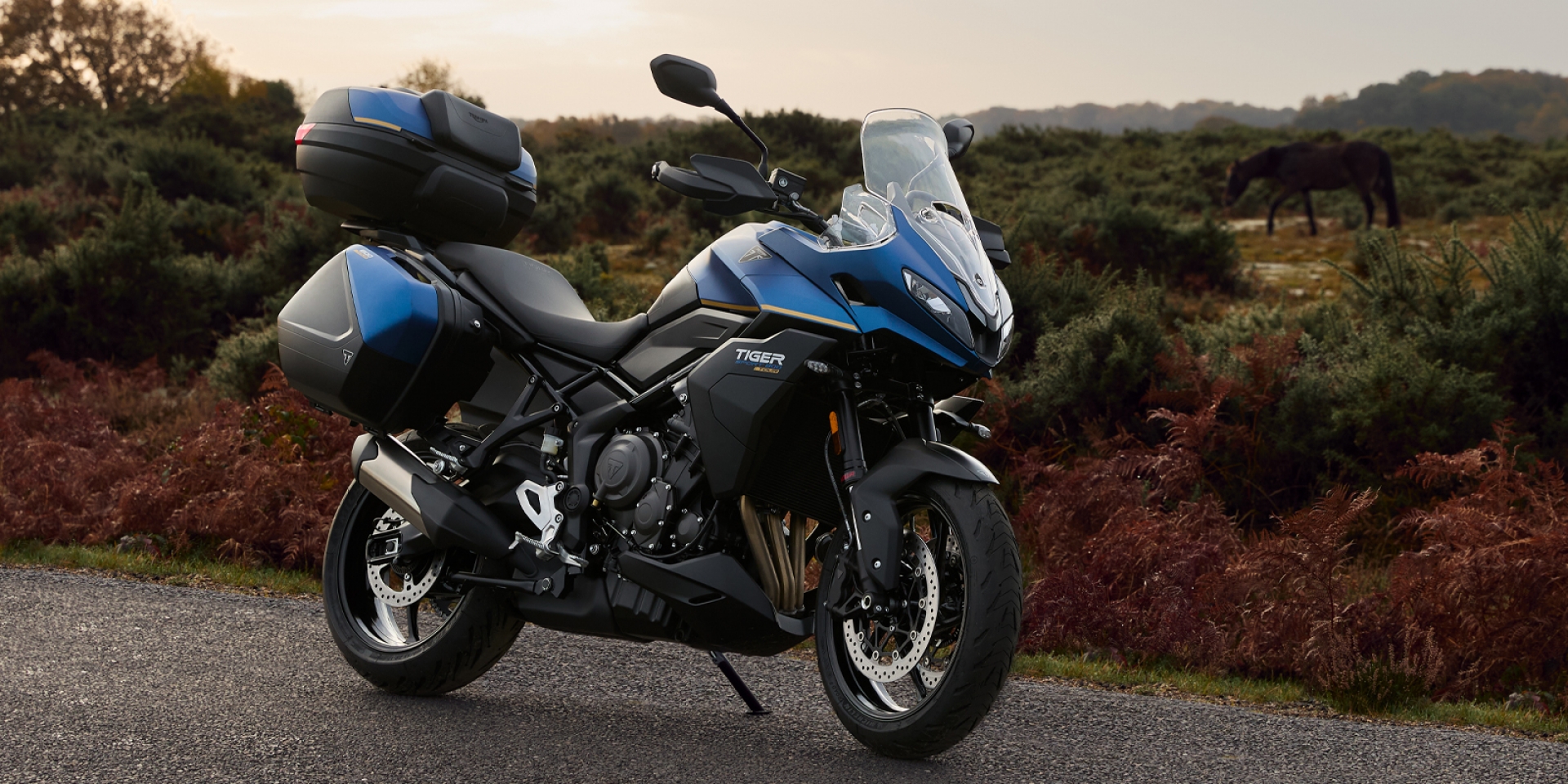 三缸休旅「大全配」登場！Triumph Tiger Sport 800 Tour 發表，原廠三箱、熱把、中柱一次給滿