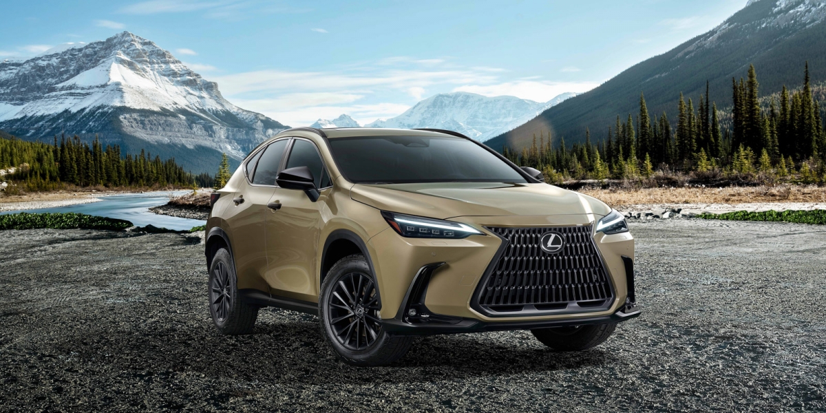 LEXUS NX 350 Overtrail版悍動上市 領您探索不凡 2025年式NX同步登場 舒適體驗全面進化