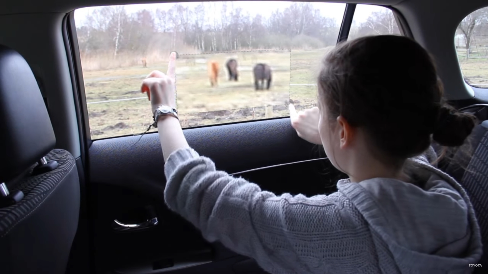 定格並且放大窗外景物