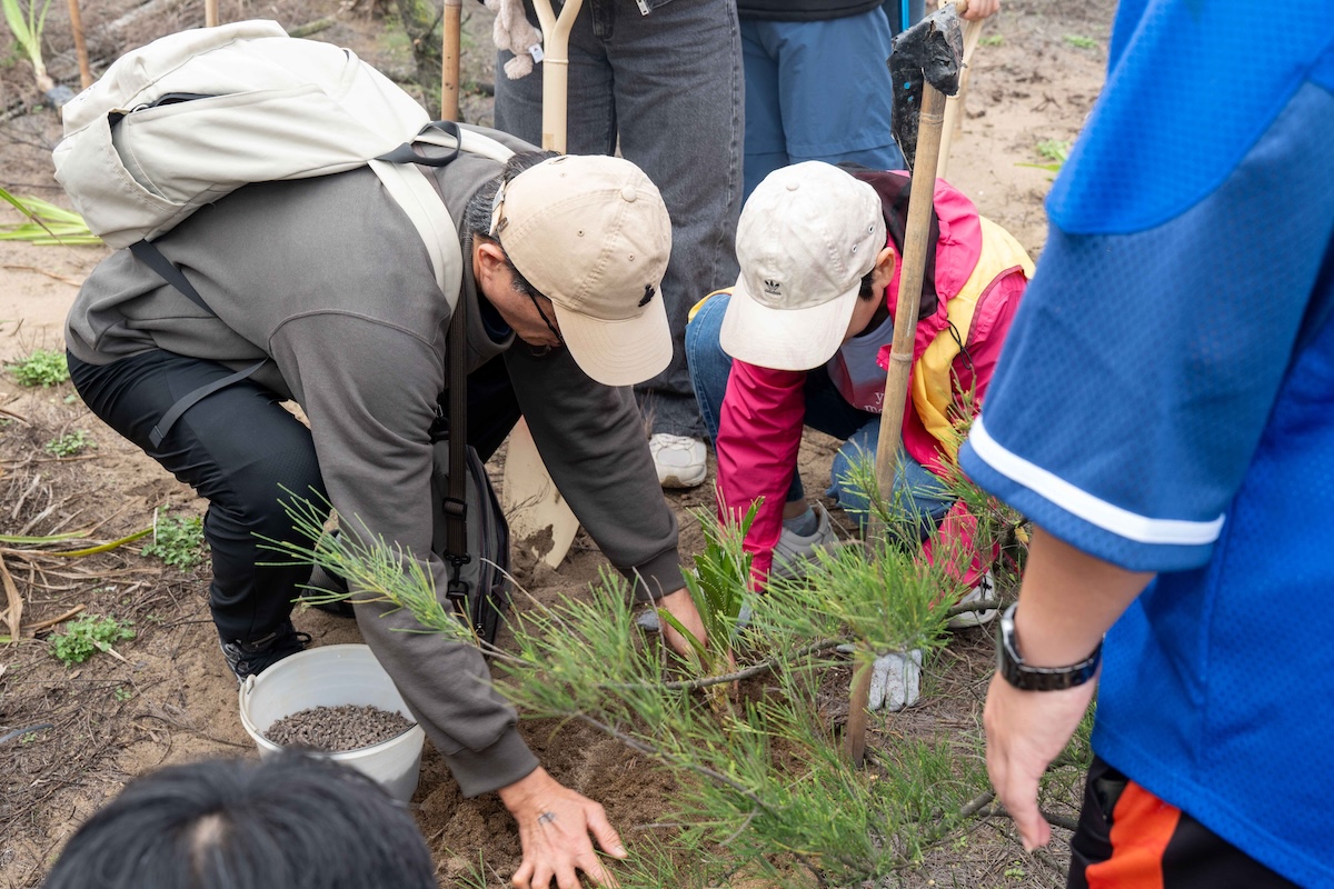 TOYOTA車主與民眾一同種下樹苗