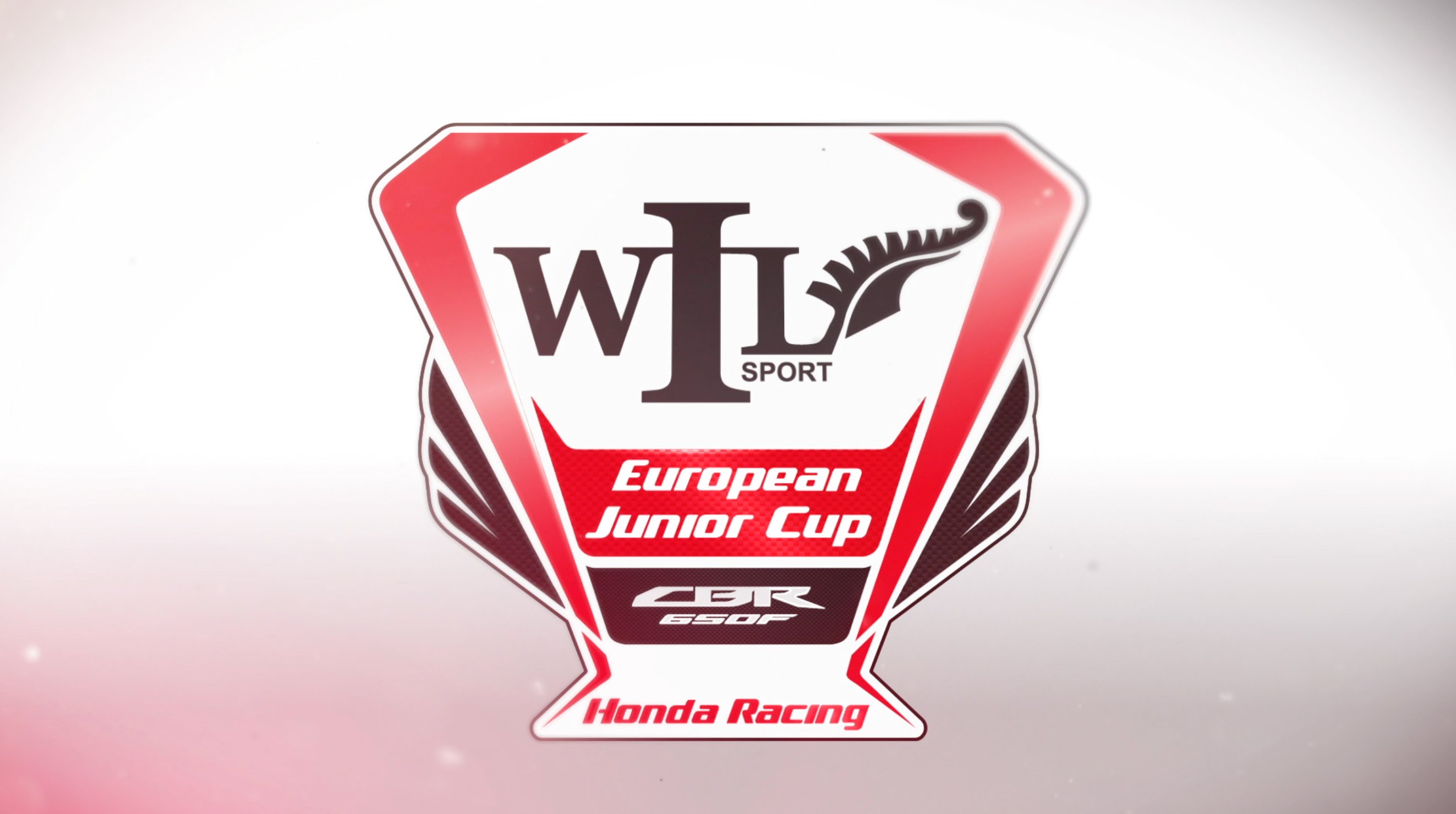 European Junior Cup歐洲少年盃是現行主要的歐洲地方賽事,規則與SSP300類似,但大多以統規賽為主