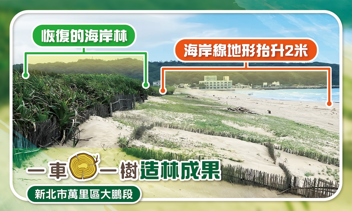 新北市萬里大鵬段海岸造林透過堆砂籬、防風圍籬及水寶盆技術,恢復林地且整體地形抬升2公尺 (圖:慈心基金會提供)