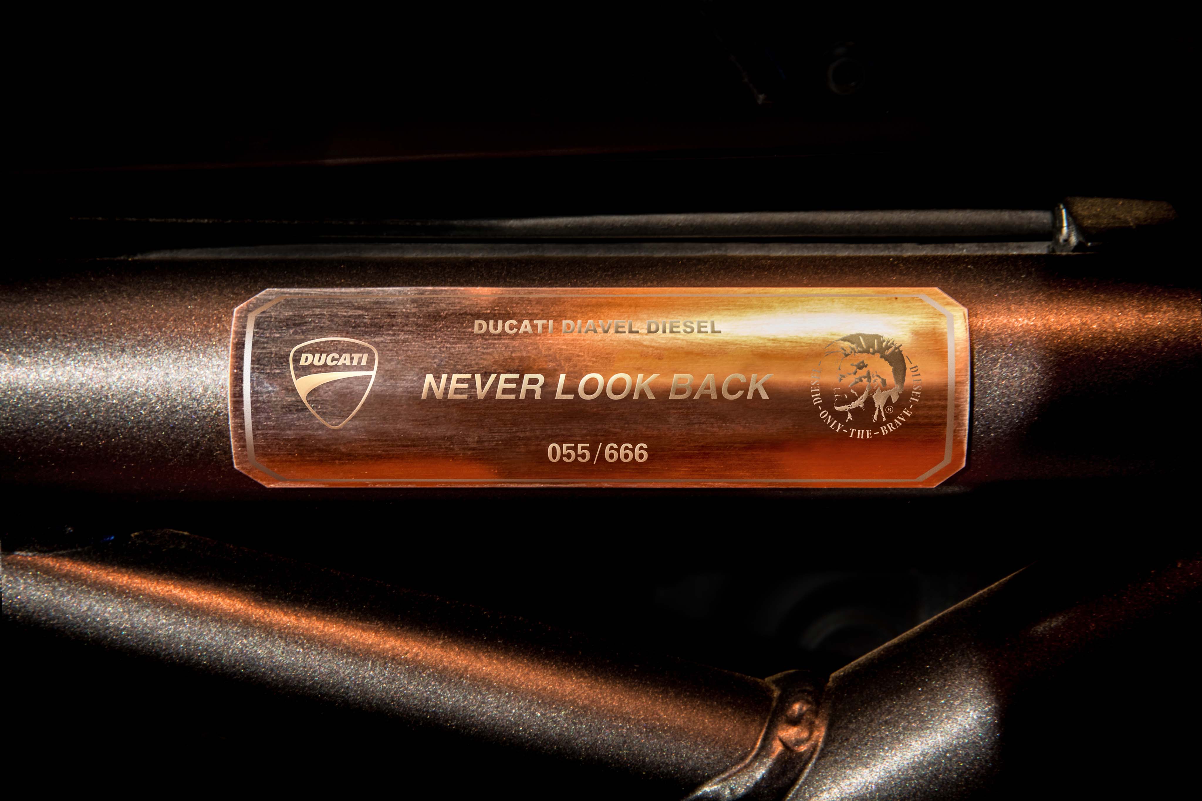 車架銘牌刻有車身流水編號與兩造品牌激盪出的＂NEVER LOOK BACK＂標語