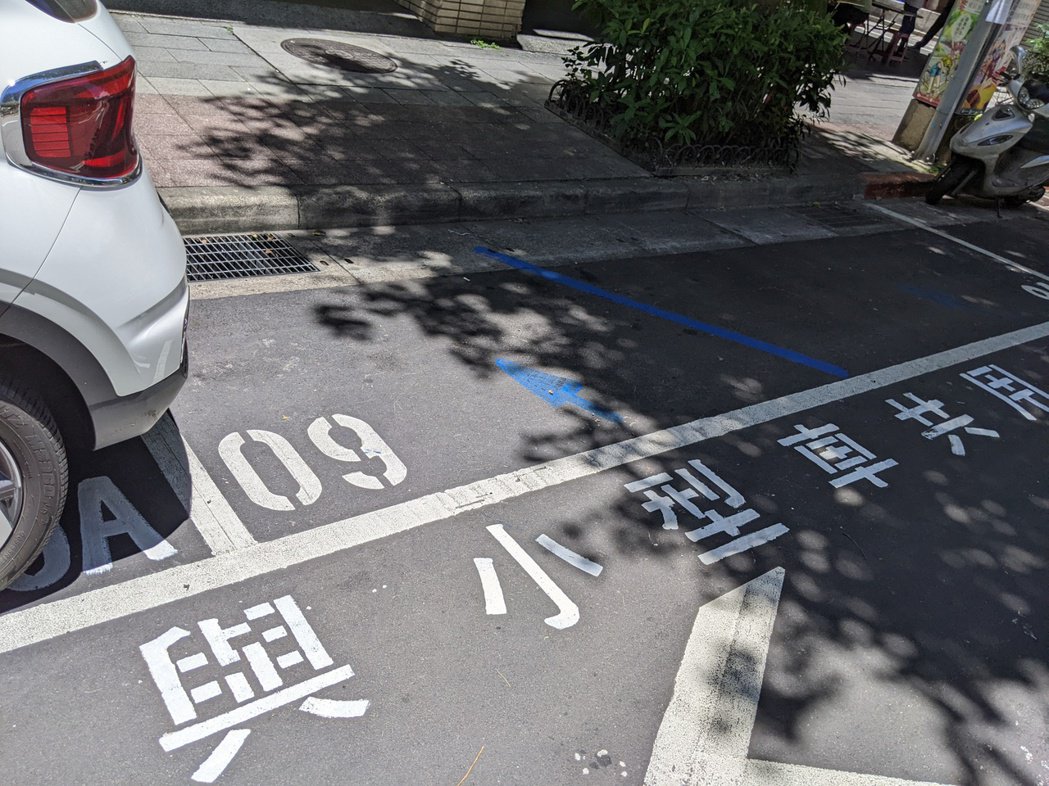 車主必須按照藍色標線停放才能享有半價優惠