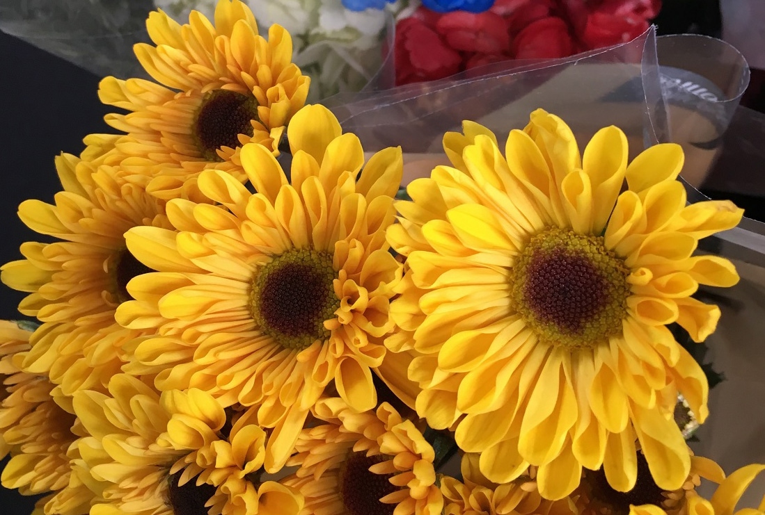 Nicky Hayden的笑容總是像向日葵一樣溫暖。