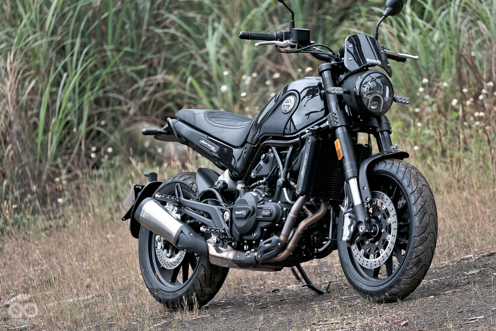 Benelli Leoncino 500則搭載相當少見的50芯倒立式前叉,規格相當令人驚艷