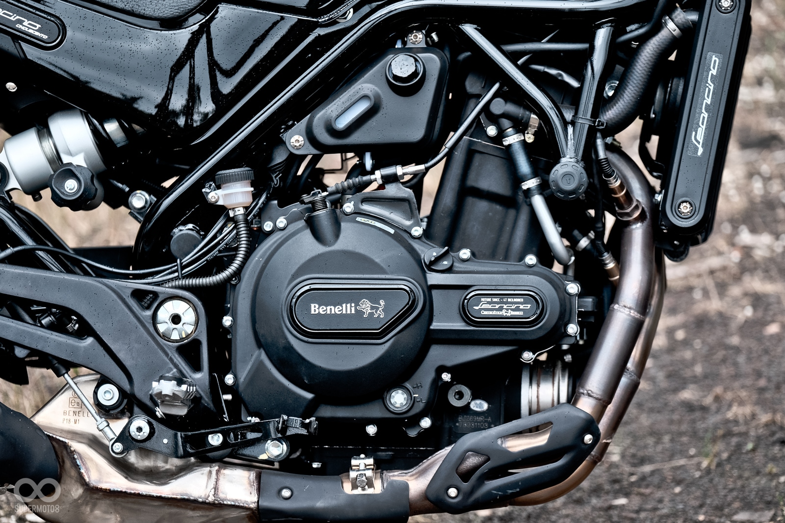 排量較大的Benelli Leoncino 500在馬力與扭力的表現較為優異