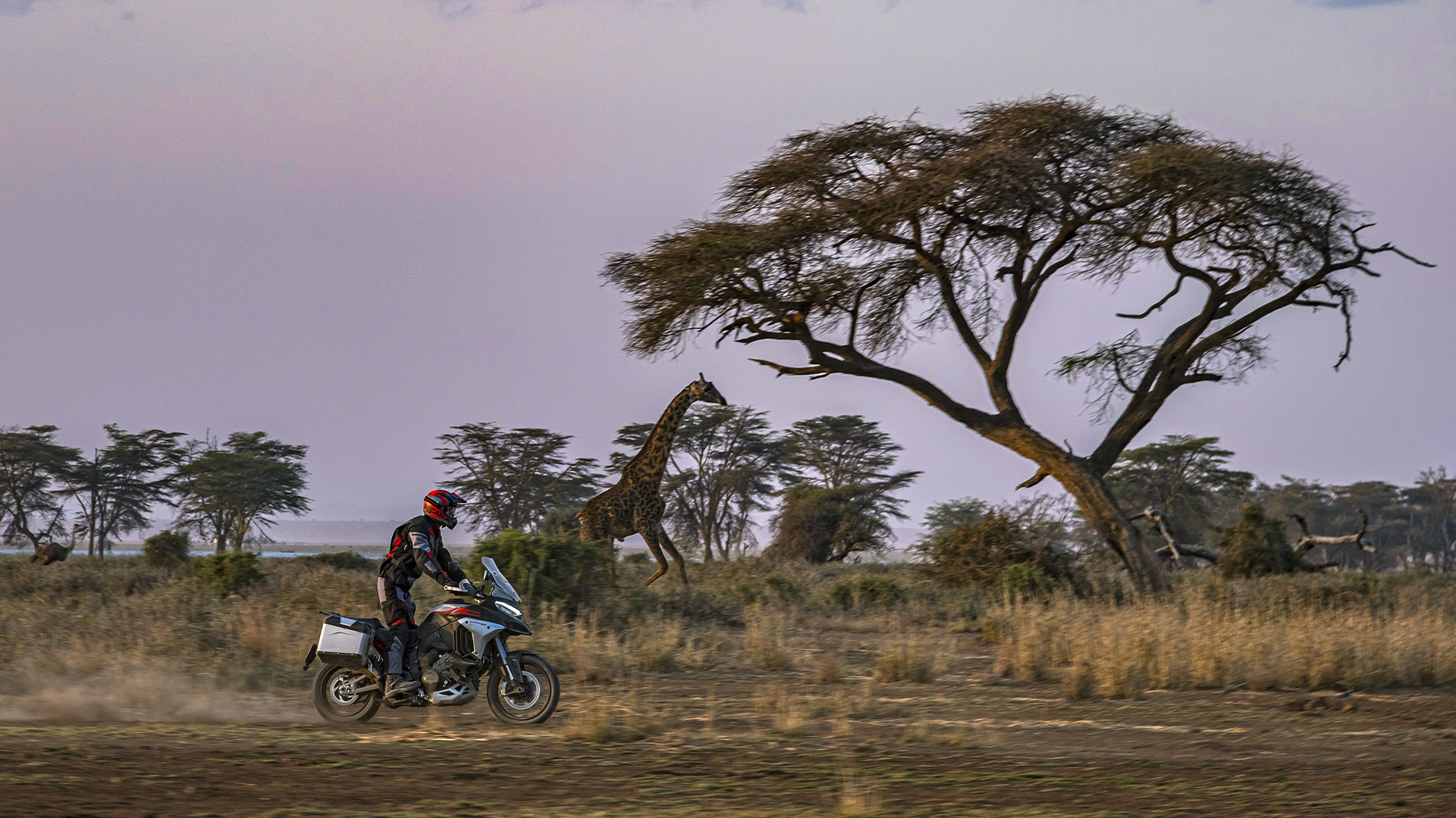 相比一般版本僅能在靜止狀態後汽缸歇止,Multistrada V4 Rally能在特定轉速下暫停後缸點火