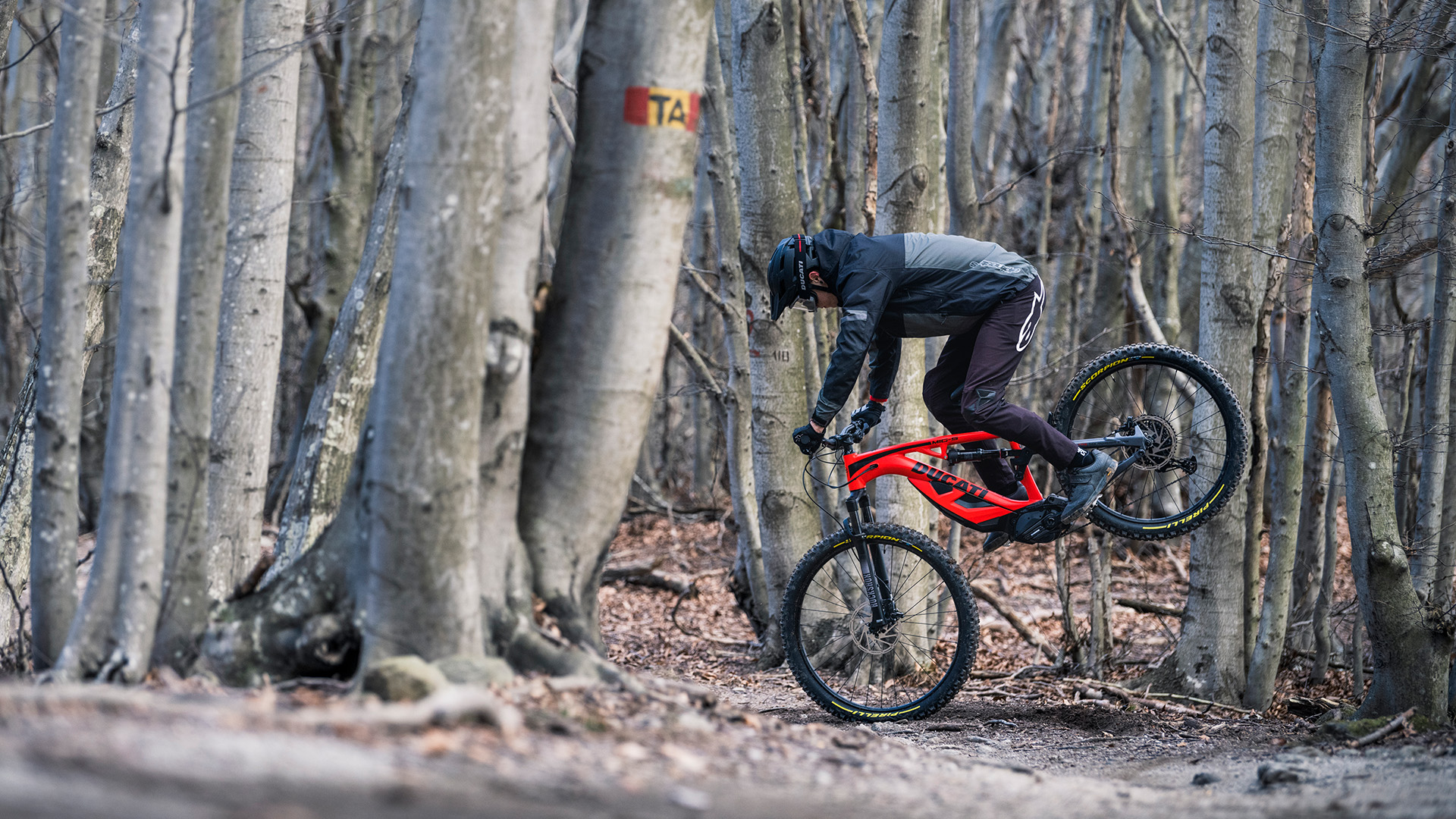 對於喜愛林道的朋友,DUCATI也推出全新的MIG-S