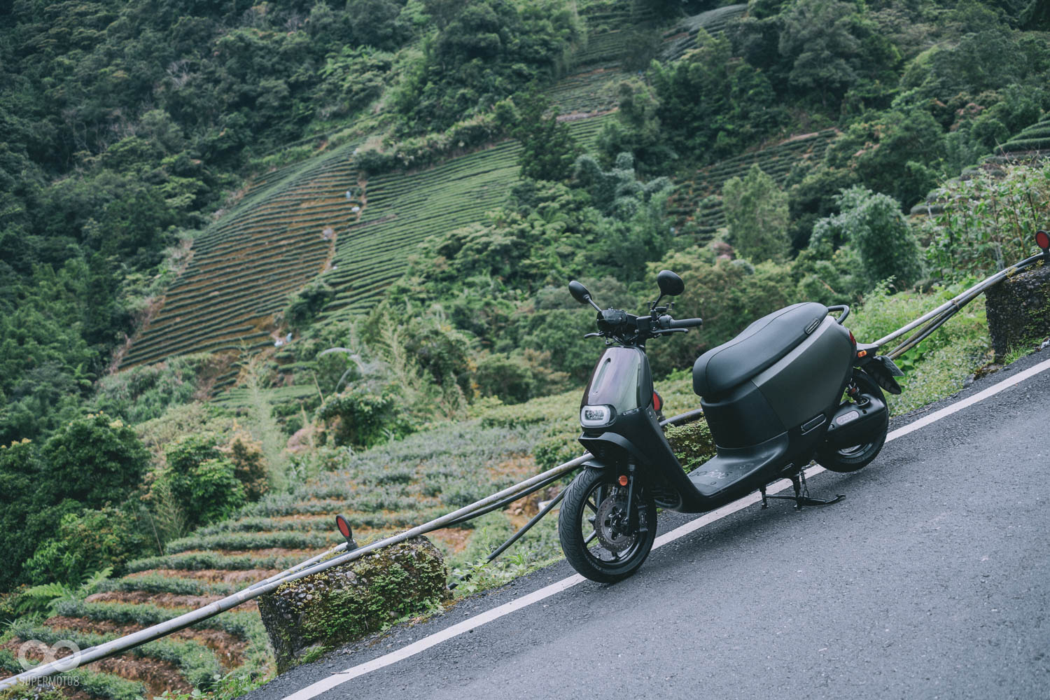 穿梭在坪林的山路上，望著隱藏在山林間的茶園，相當愜意