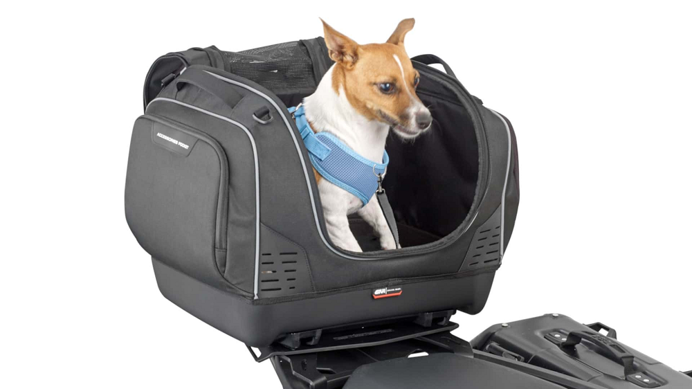 雖然正式售價還沒出爐,相信也會有不少毛小孩的父母們有意願購入