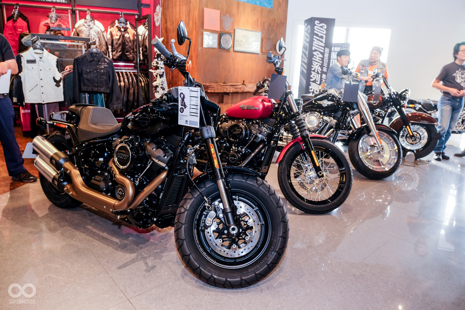 Softail家族改款數量相當龐大