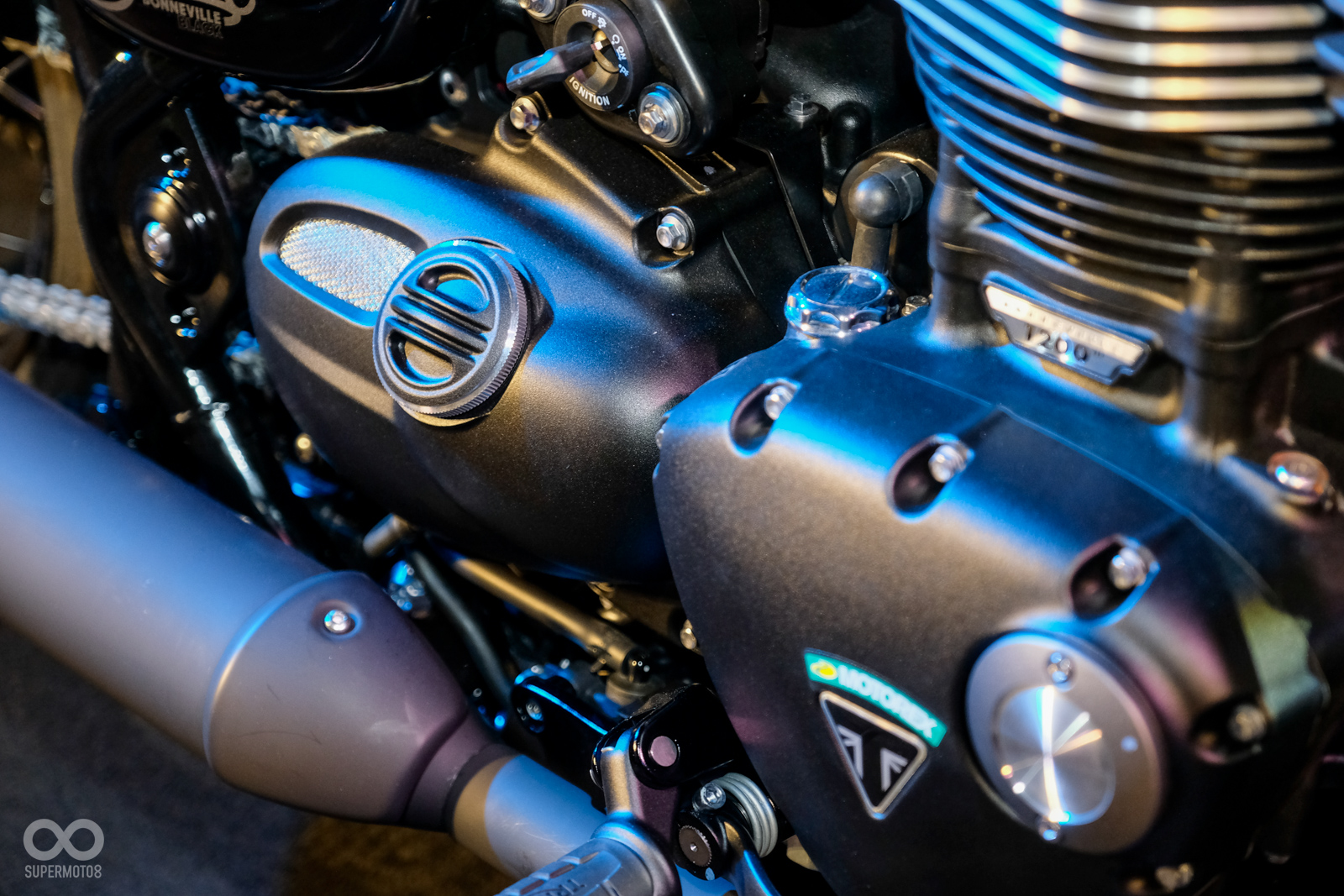 單座椅墊的造型相當性感，下方左側的金屬蓋為“水箱”的檢視視窗