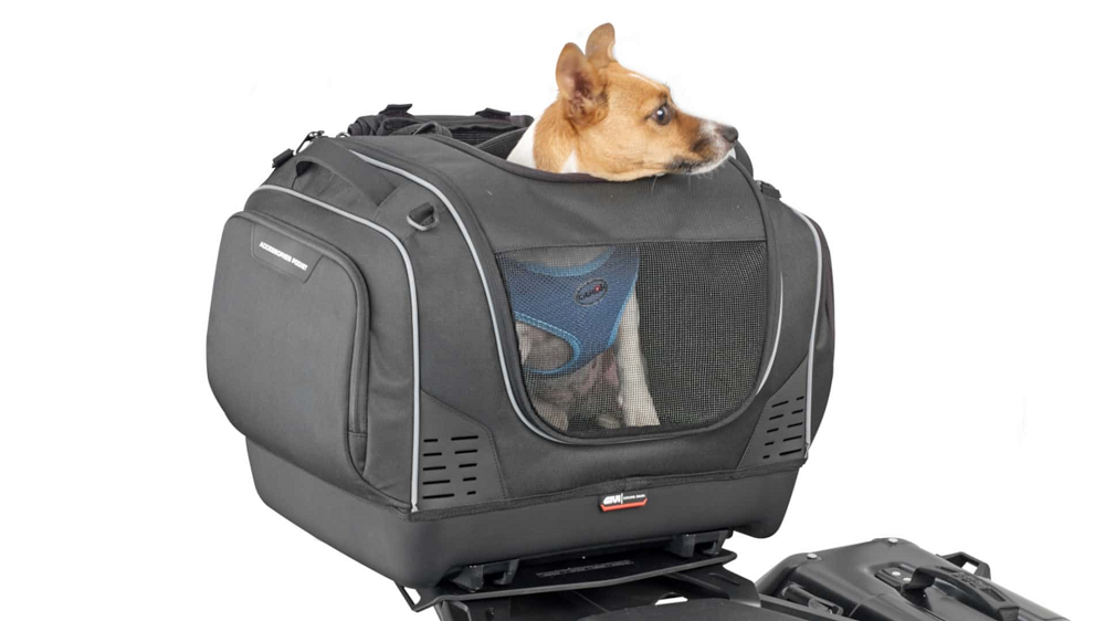 為了讓毛小孩在寵物袋中也能舒適的休息,包包擁有著多處通氣孔讓內部空氣流通