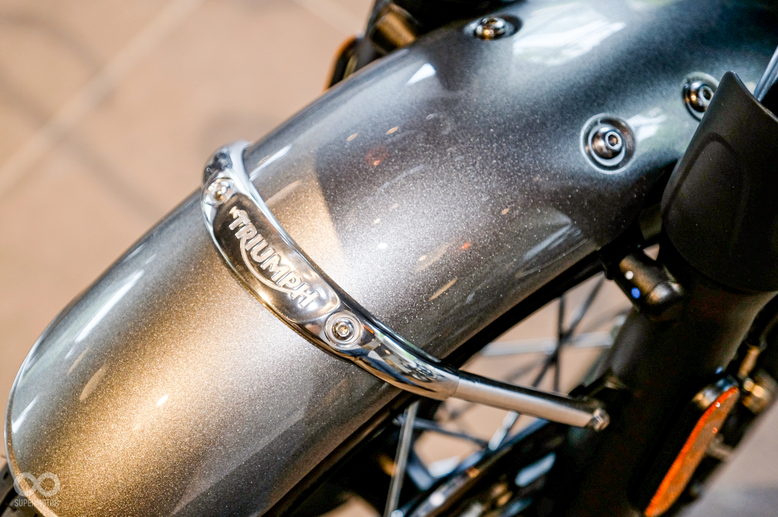 前土除上的TRIUMPH字樣