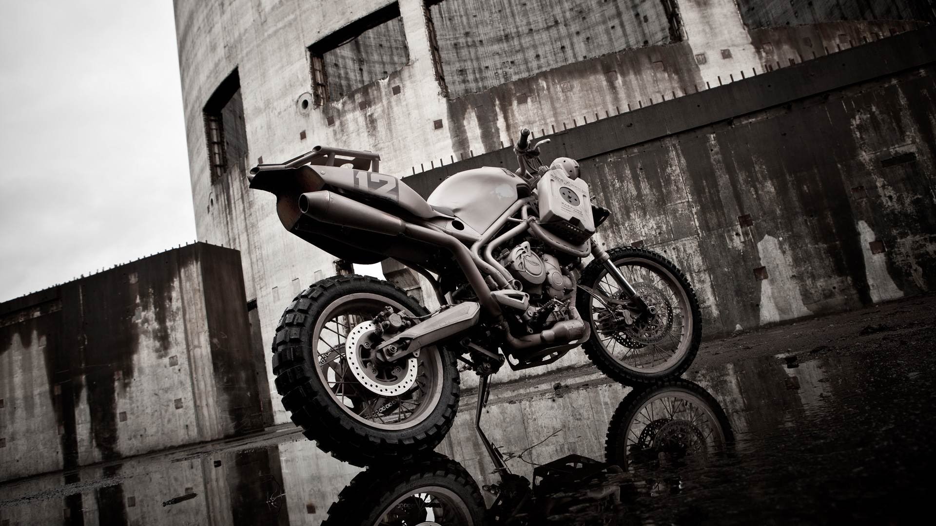 簡約的外型搭配肌肉感的線條，在粗獷中依舊能看見車身曲線的美