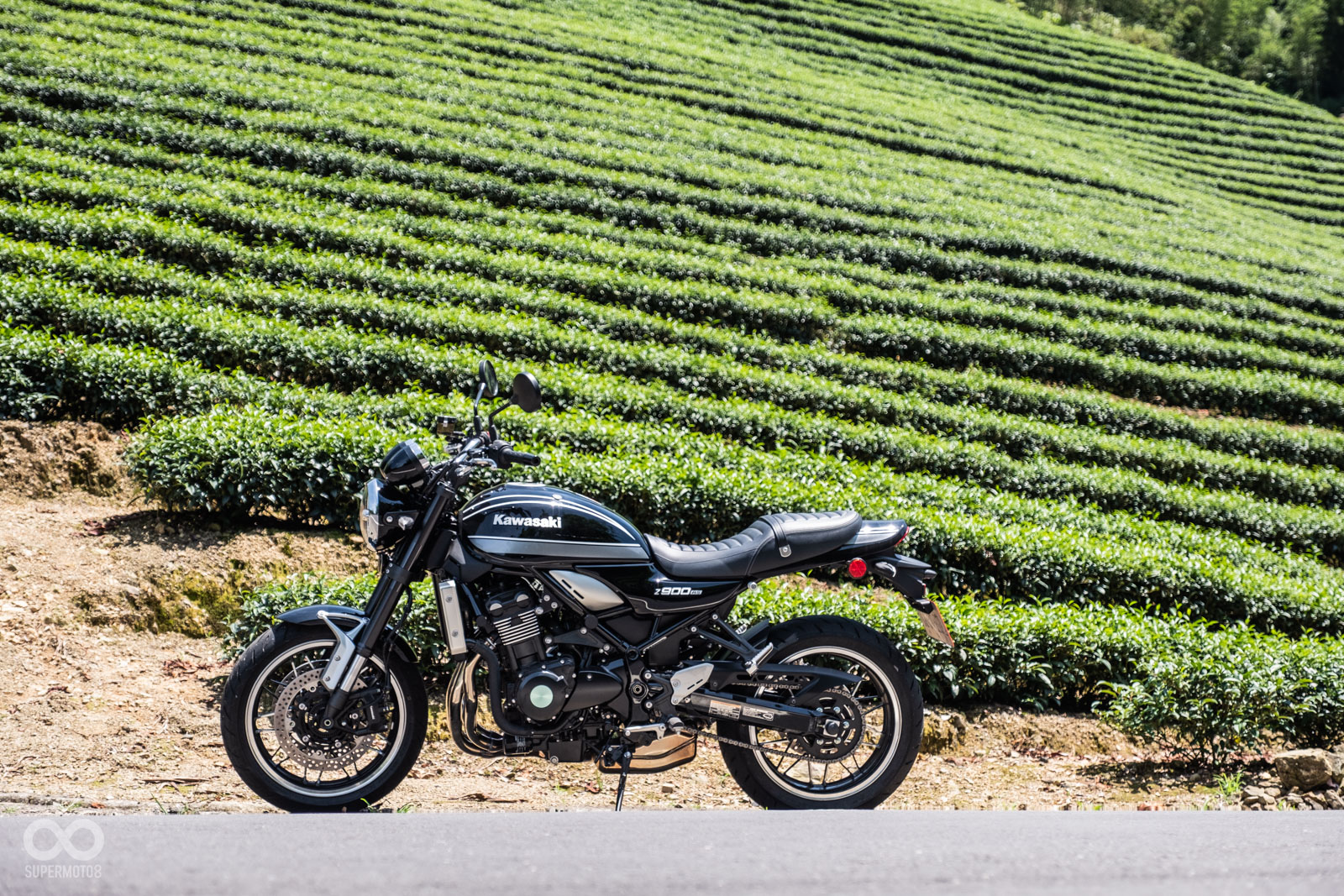 北42沿線也有許多漂亮的梯形茶園