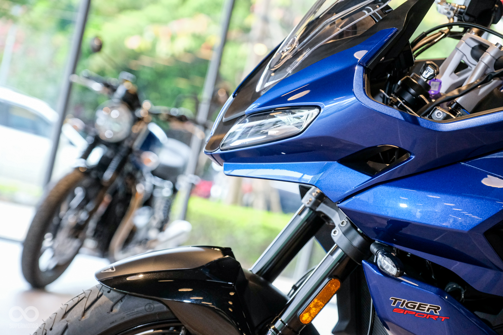 充滿跑車氣息的老虎頭