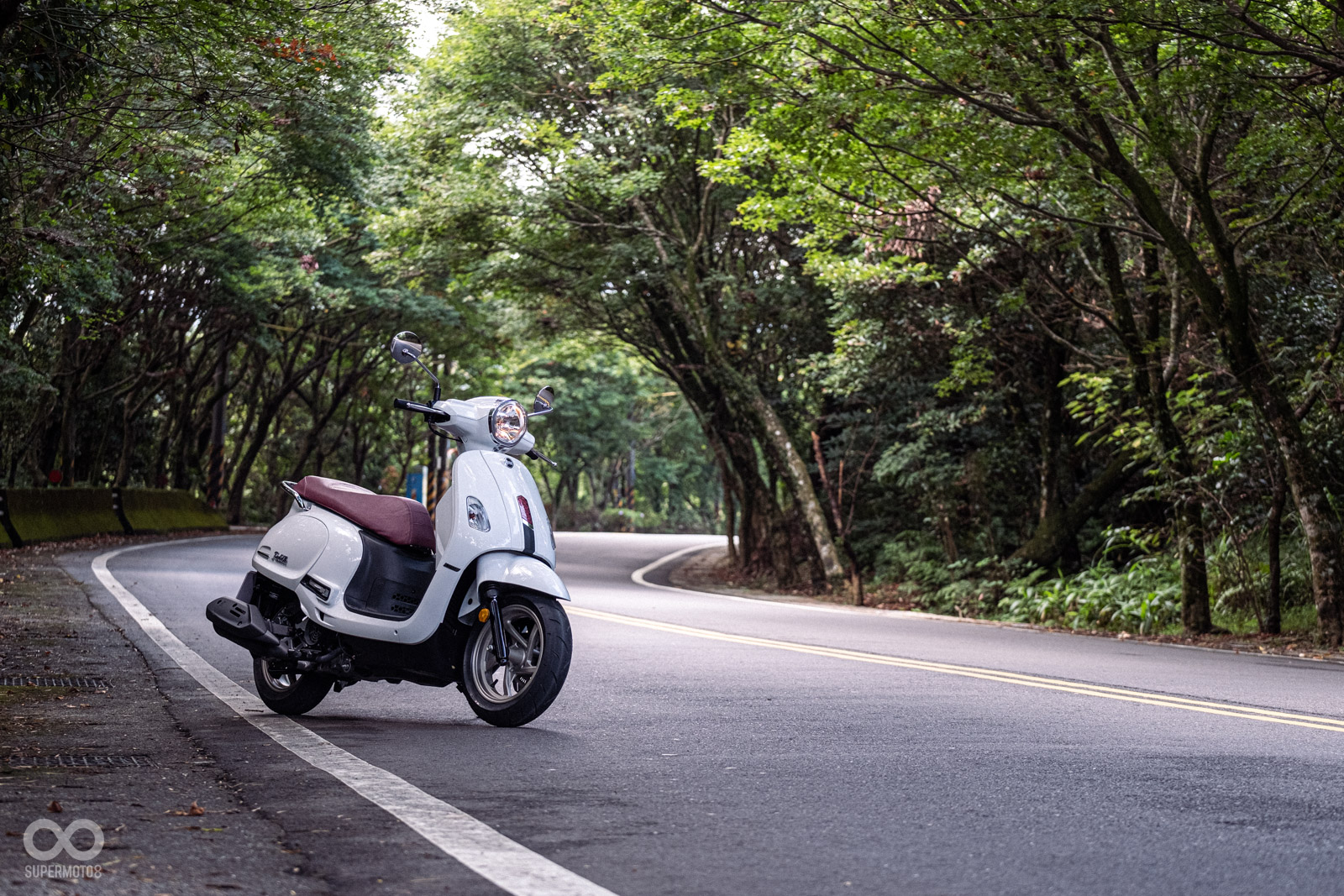 北新路山道上這段相當漂亮的綠色隧道，搭配一旁農村的景色，真的給人來到郊外放鬆的感覺