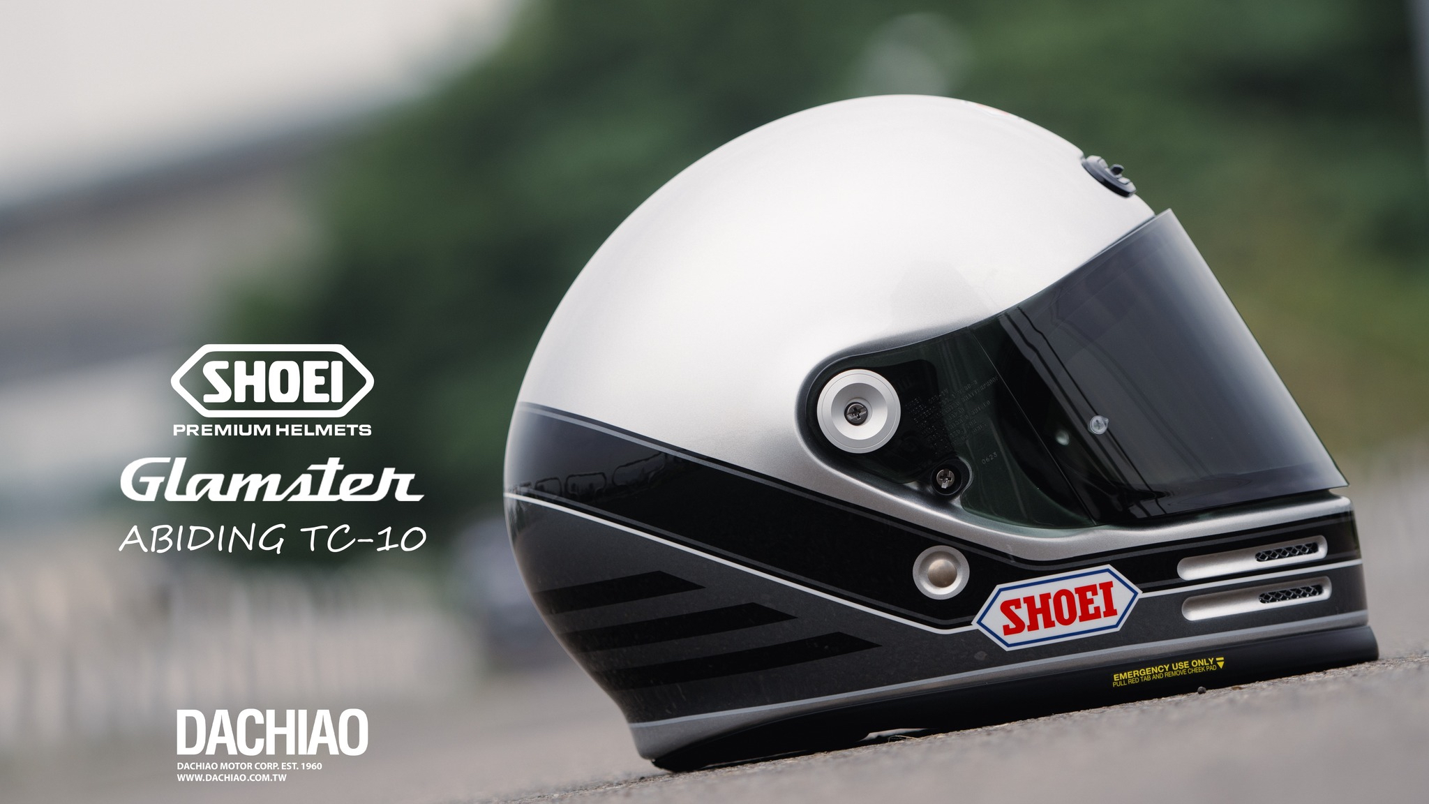 灰／銀(TC-10)彩繪