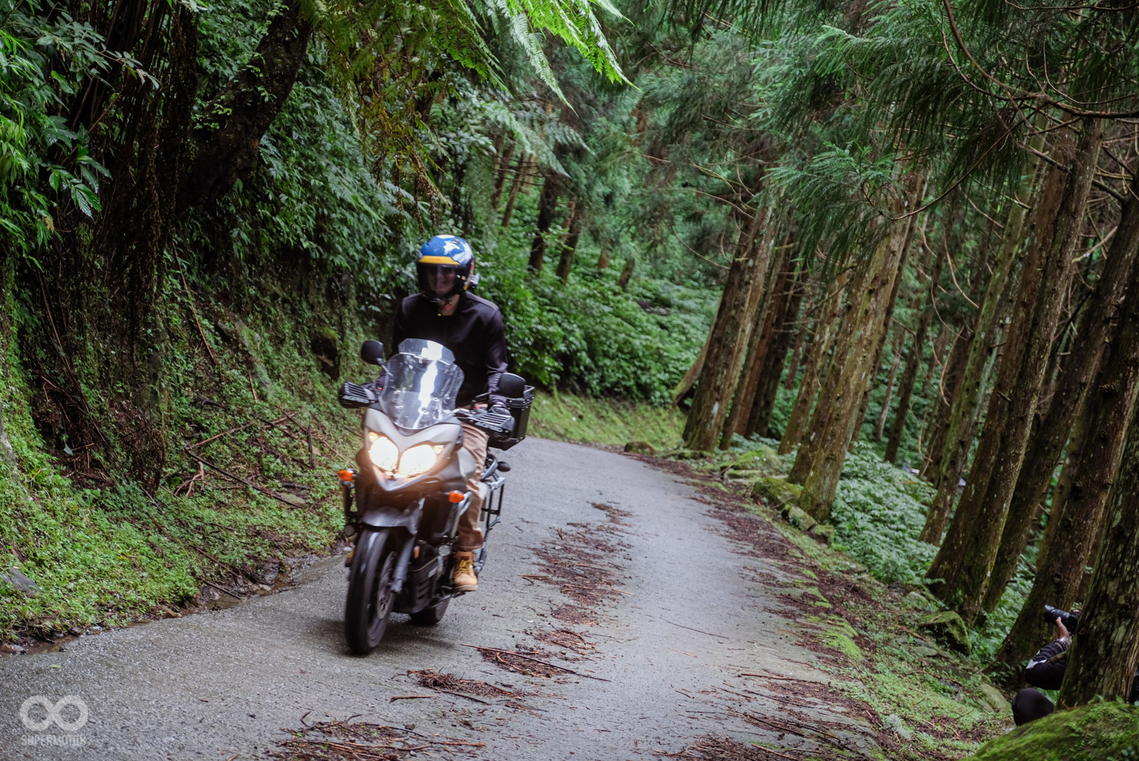 各種排氣量的 SUZUKI V-STROM 都可以看見，難易度較低的水泥林道，搭配針葉林景觀相當有氣勢