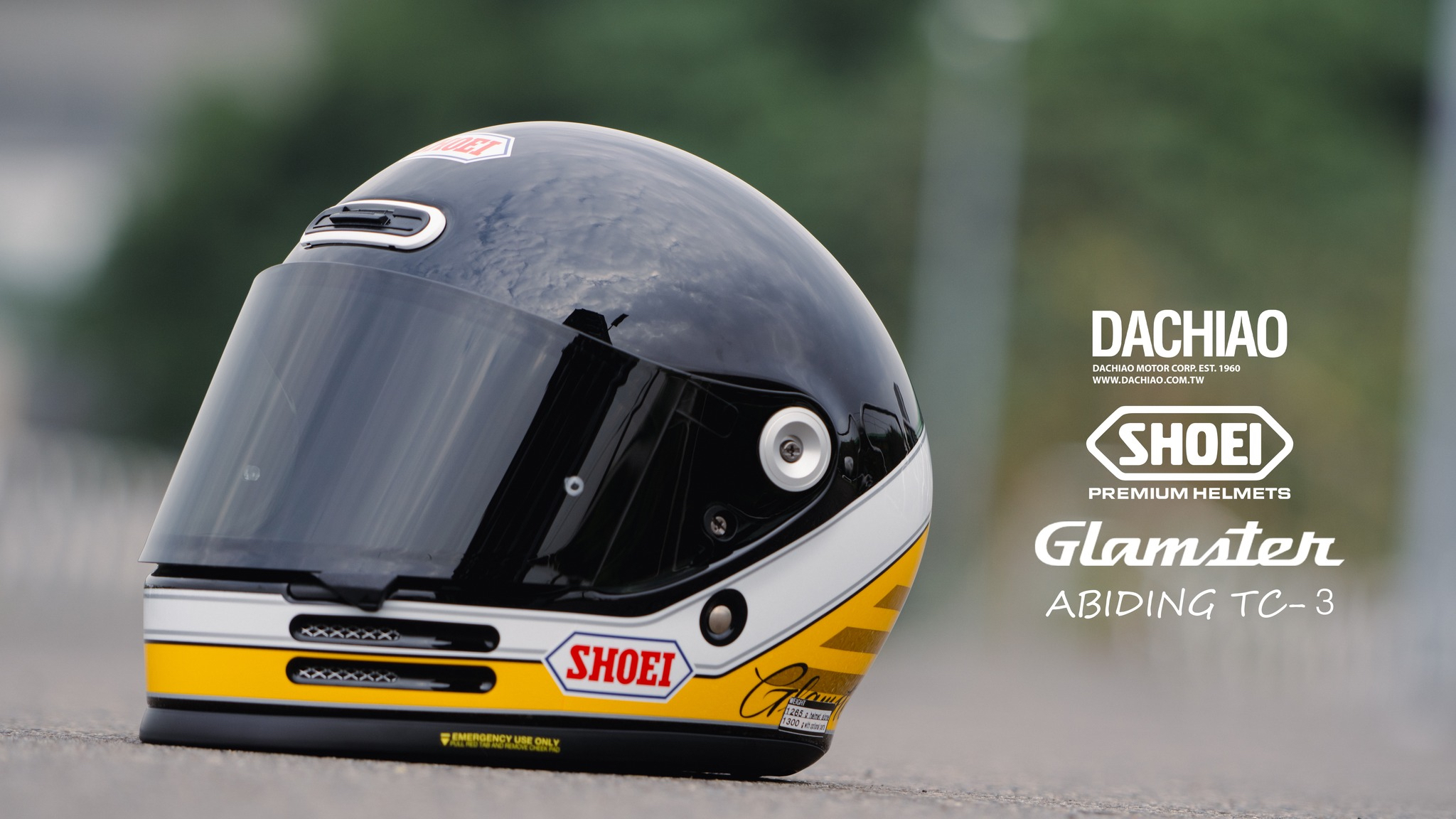 黃色／黑色(TC-3)彩繪