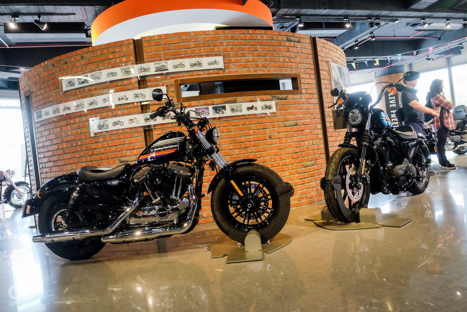 IRON 1200、FORTY-EIGHT SPECIAL兩款典藏版本是2019引進的重點項目之一