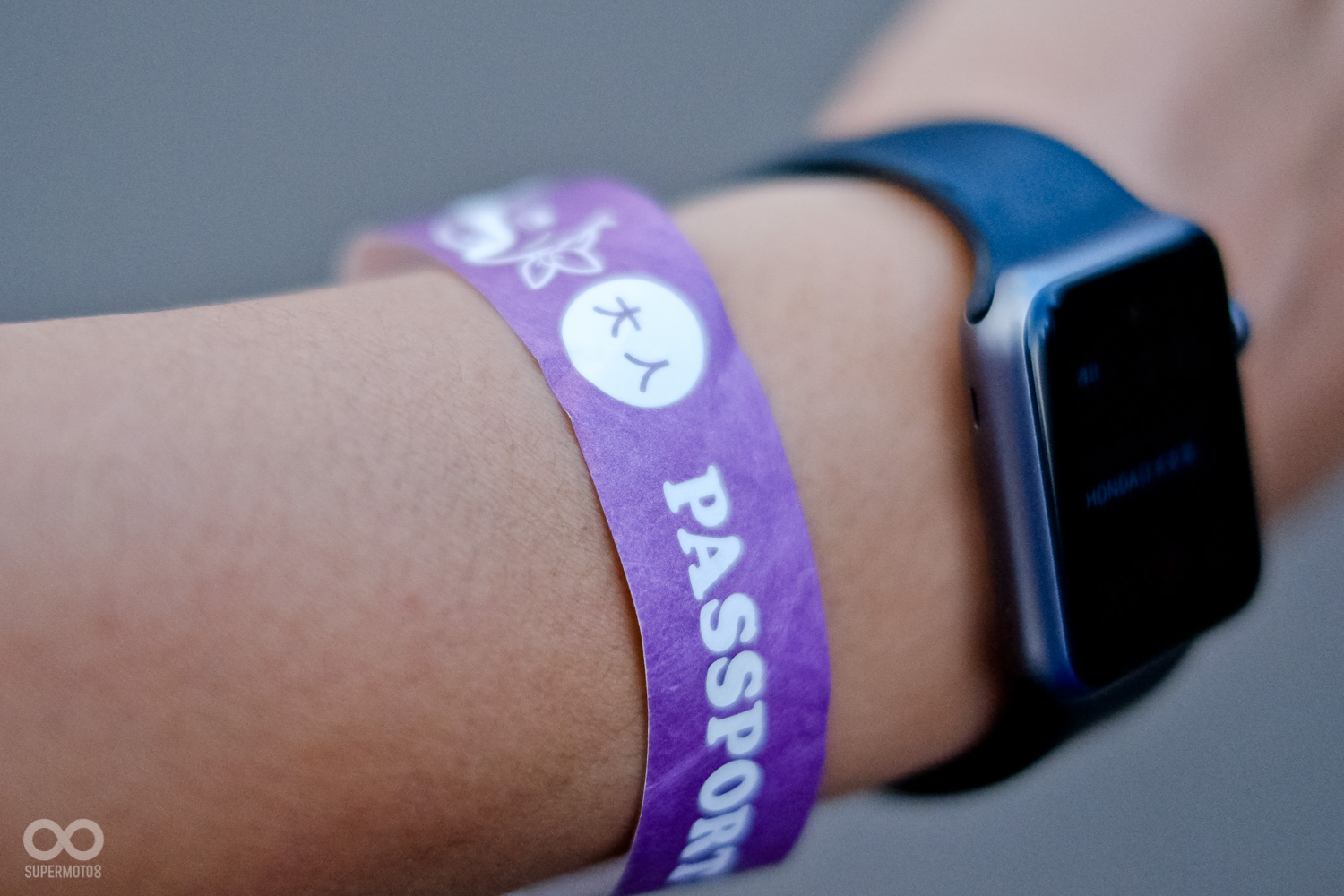 主辦單位行前發放給團員的全設施手環，以上所有設施皆可免費使用，無限次數