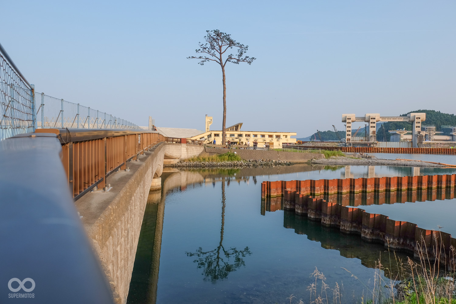 現今的一本松已被製成標本,作為當地永恆的精神象徵