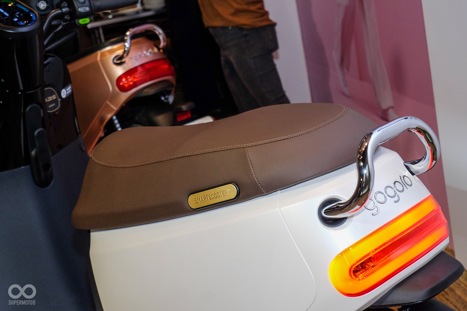 鍍鉻件提升質感,車尾銘牌金色呈現