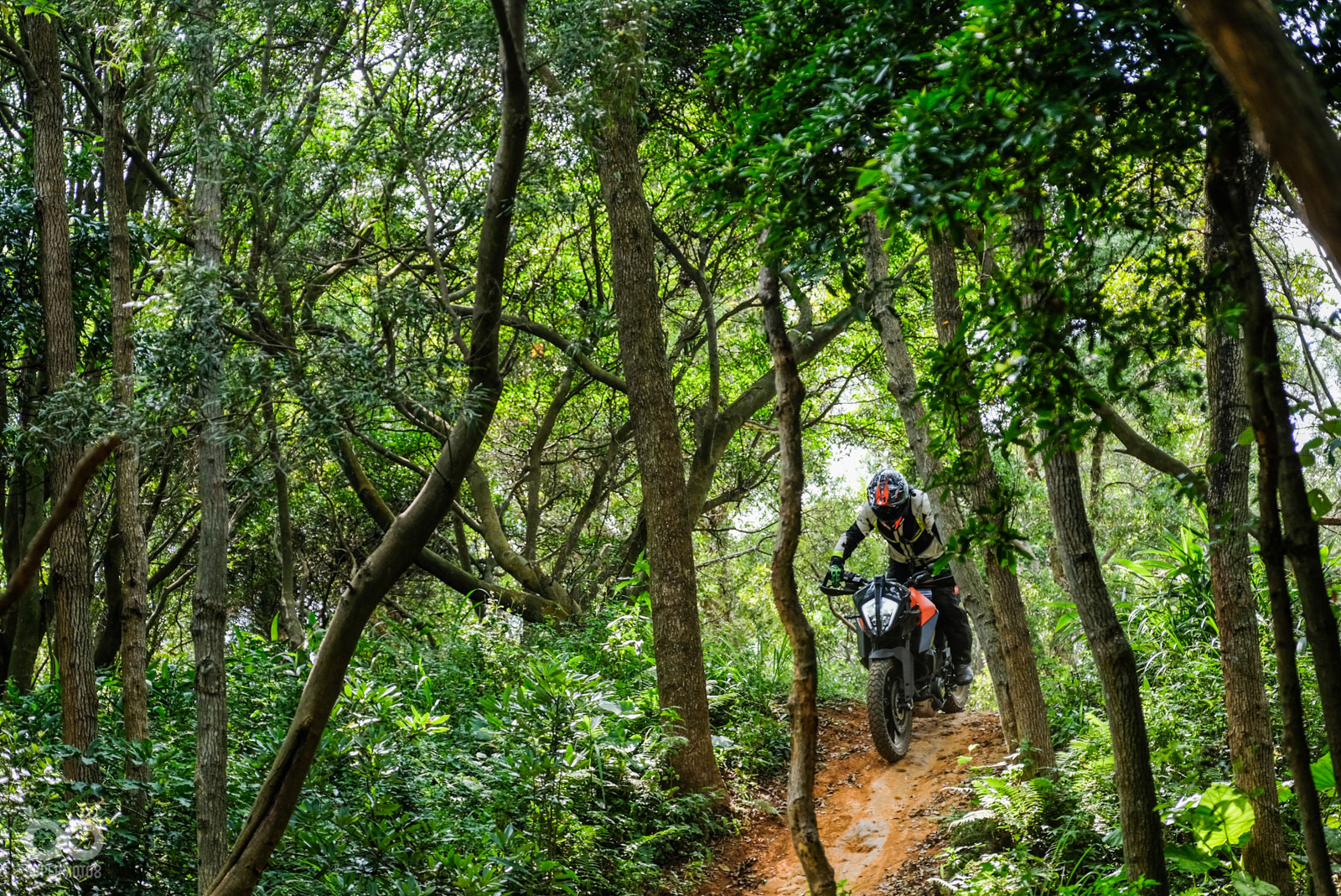 面對土丘頂點,390 ADVENTURE充分展現200mm距地高的優勢