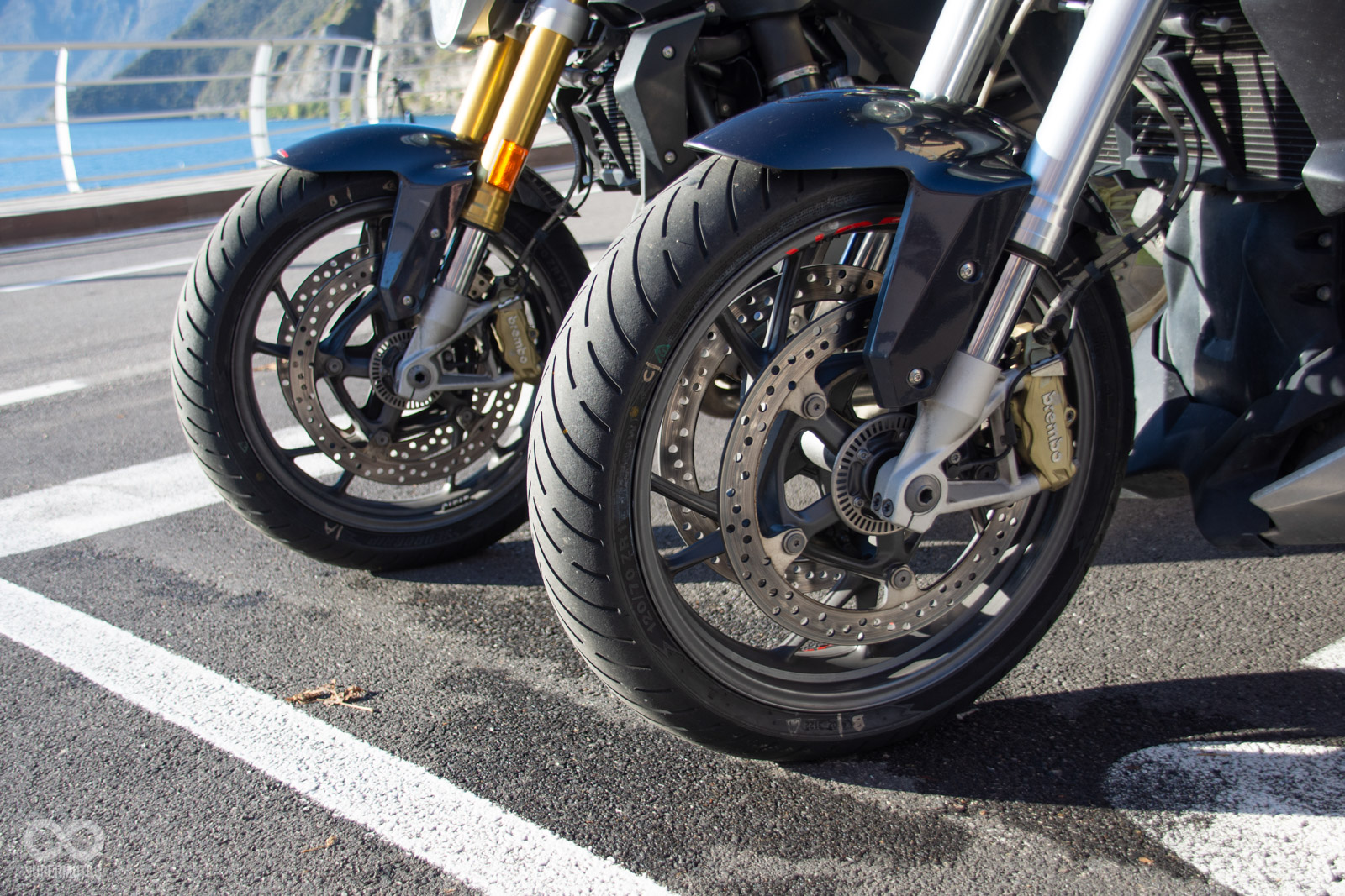 「獵犬」（ROADHOUND）