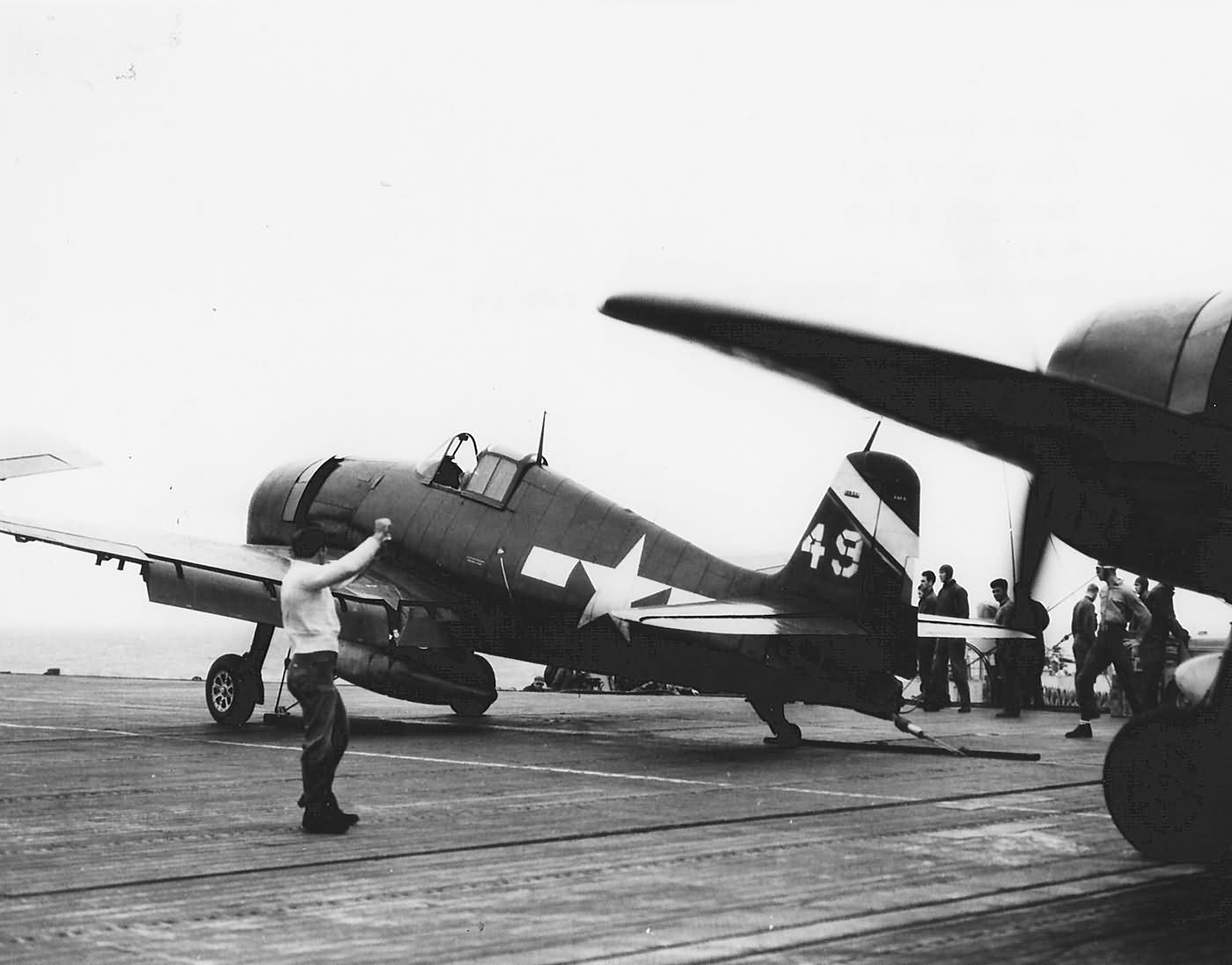 Hellcat這款代號F6F的戰鬥機是二次大戰末期美國航空母艦主力艦載機